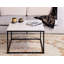 Padmini Frame Coffee Table