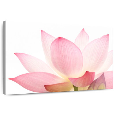 Harnek Pink Lotus Flower
