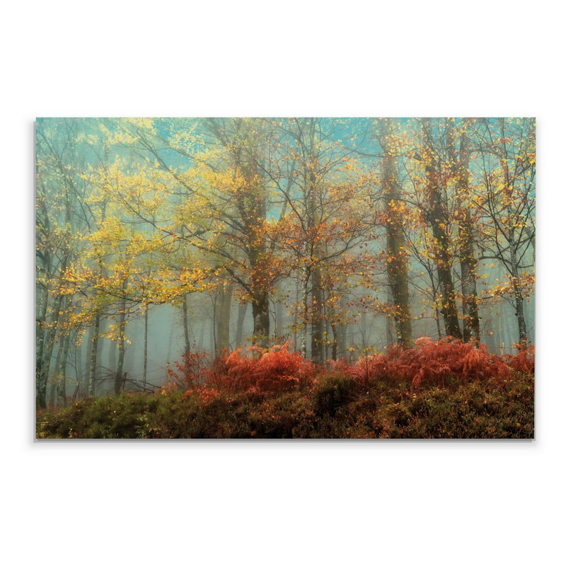 «Beeches in the Mist», reproduction, H 32 po x l 48 po x P 1,5 po, Toile tendue
