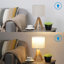 Riverton Wood Tripod Lamp-1870355864