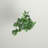 60'' Faux Rubber Tree Tree in Nursery Pot