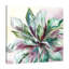 «Succulent Watercolor II» par Tre Sorelle Studios - reproduction d'art sur toile tendue-41329789