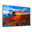 Decorative Tempered Glass Painting