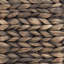 Water Hyacinth Tree Collar