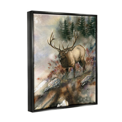" Elk Woodland Slope Clearing "