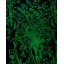 Overyed One-of-a-Kind Runner 2'7" X 9' Hand Knotted Area Rug