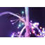 LED Holiday Lighting