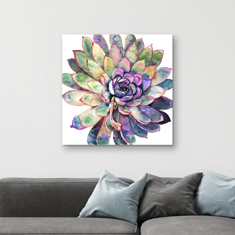 Multicolored succulent  - 32"x32" art on canvas
