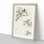 Great Tits in a Maple Tree by Ohara Koson - Picture Frame Painting Print-55575526-55575530