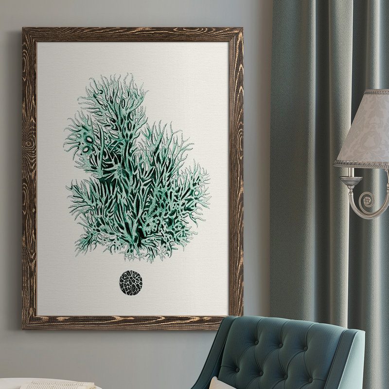 «Franta Antique Coastal Coral V», reproduction d'art sur toile, H 37,5 po x l 27,5 po x P 1 po, Noyer