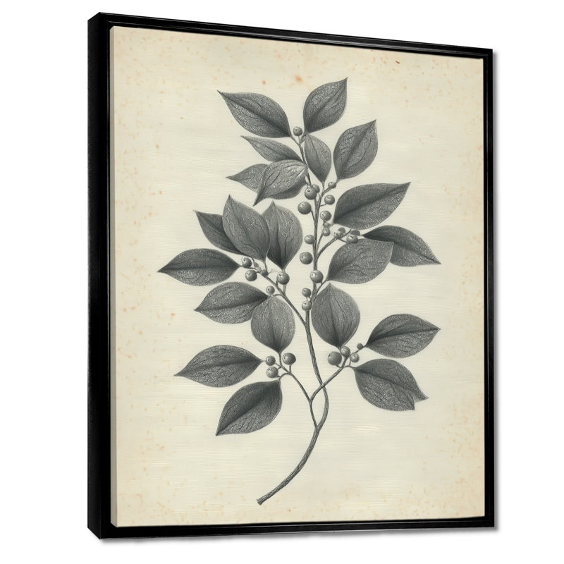 Impression sur toile botanique grise, Cadre flottant, Noir, H 32 po x l 16 po