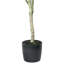Faux Tree in Pot-1409677585