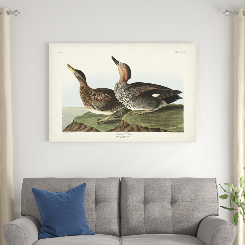 Pl 348 Galdwell Duck, H 32 po x l 48 po