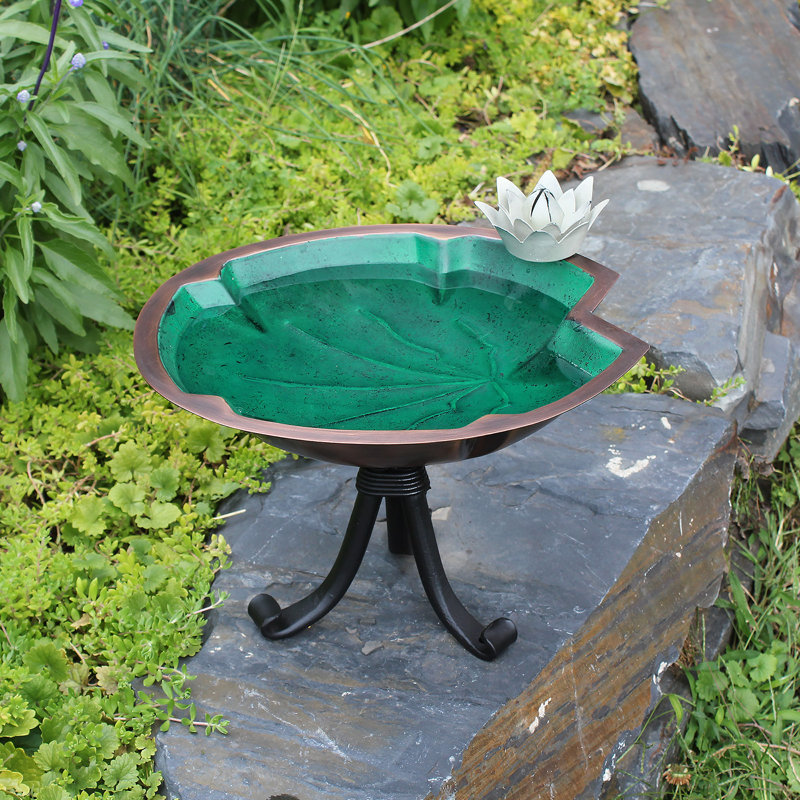 Bain d'oiseaux avec trépied Lilypad