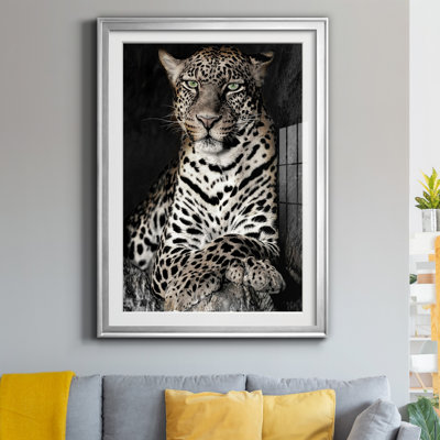" African Leopard "