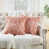 Rose corail est en rupture de stock