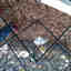 Photos des clients 2 de 3