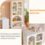 Bibliothèque géométrique arquée à 5 tablettes