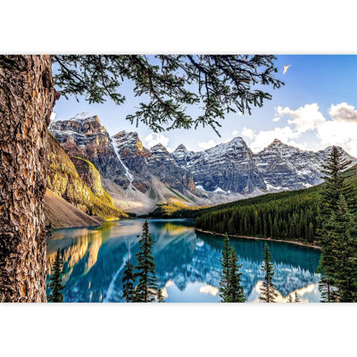 Scenic Colorado Mountain Lake Forest Paintable Wall Mural -  IDEA4WALL