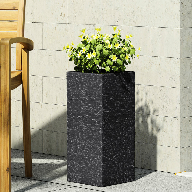 MGO PLANT