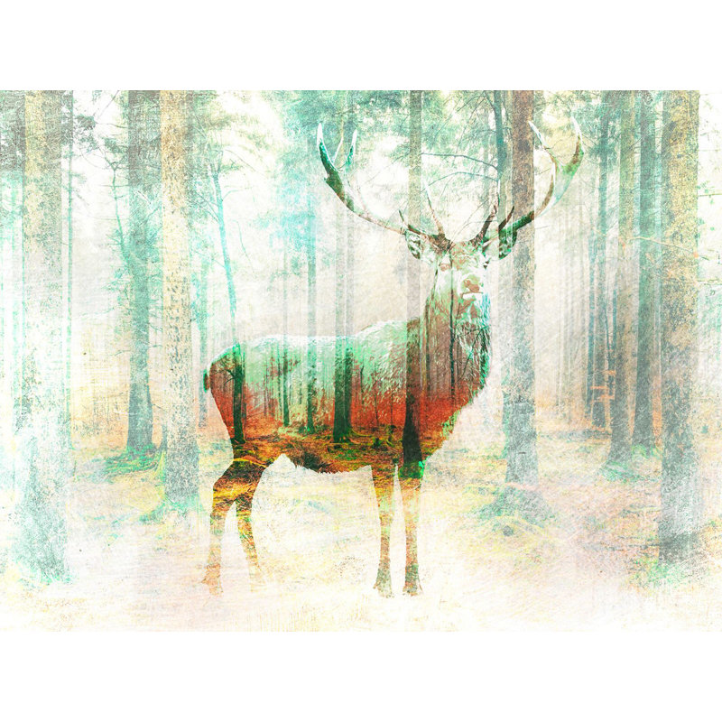 Lord Of The Woods by Arlo Wren Photos - Wrapped Canvas Print, 50cm H x 70cm W x 4cm D