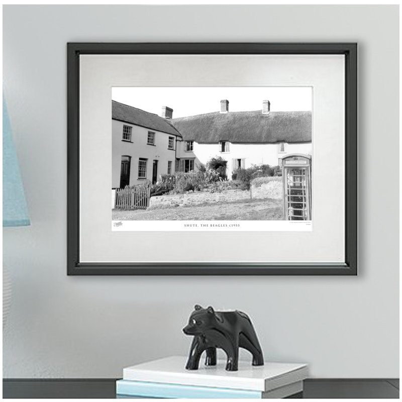 Shute, The Beagles C1955 by Francis Frith - Single Picture Frame Print, 45cm H x 60cm W x 2.3cm D