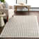 Daleyza Checkered Machine Washable Area Rug