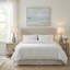 Ensemble de 2 lampes de table Modern Coastal Aqua Glass