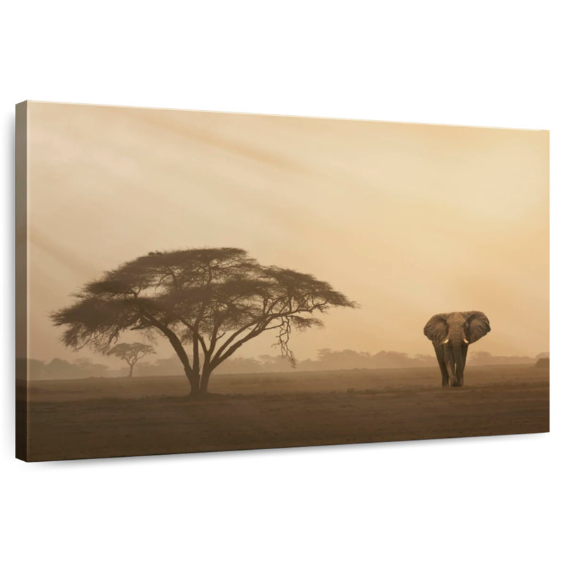 Éléphant Brampt dans le parc Amboseli, H 32 po x l 48 po