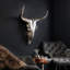 Rodeo Wall Décor