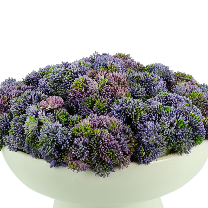 Sedum Arrangement in Ceramic Pedestal Vase, Purple