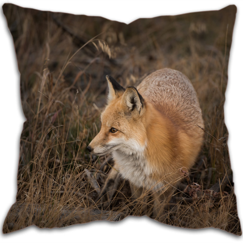 Kaliyah Square Throw Cushion