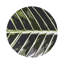 Sous-verres ronds en cuir tropical-119015386