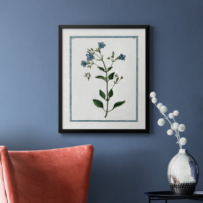 Toile encadrée de qualité supérieure Shabby Elegance Botanical II - prête à être accrochée