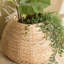 Aadhvik Planter Box
