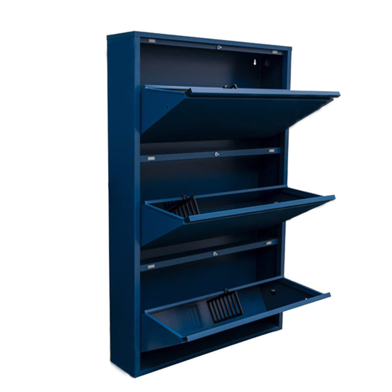 Cathelene 6 Pair Shoe Storage Cabinet, Navy