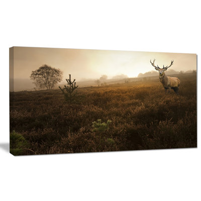 «Mist Forest with Red Deer Stag», reproduction de photo sur toile tendue