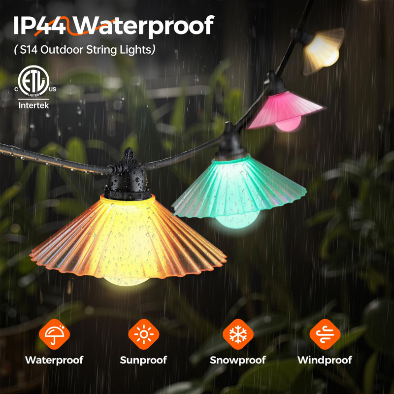 Raegen Outdoor 10 - Bulb 192'' Plug-in String Light, Multicolor