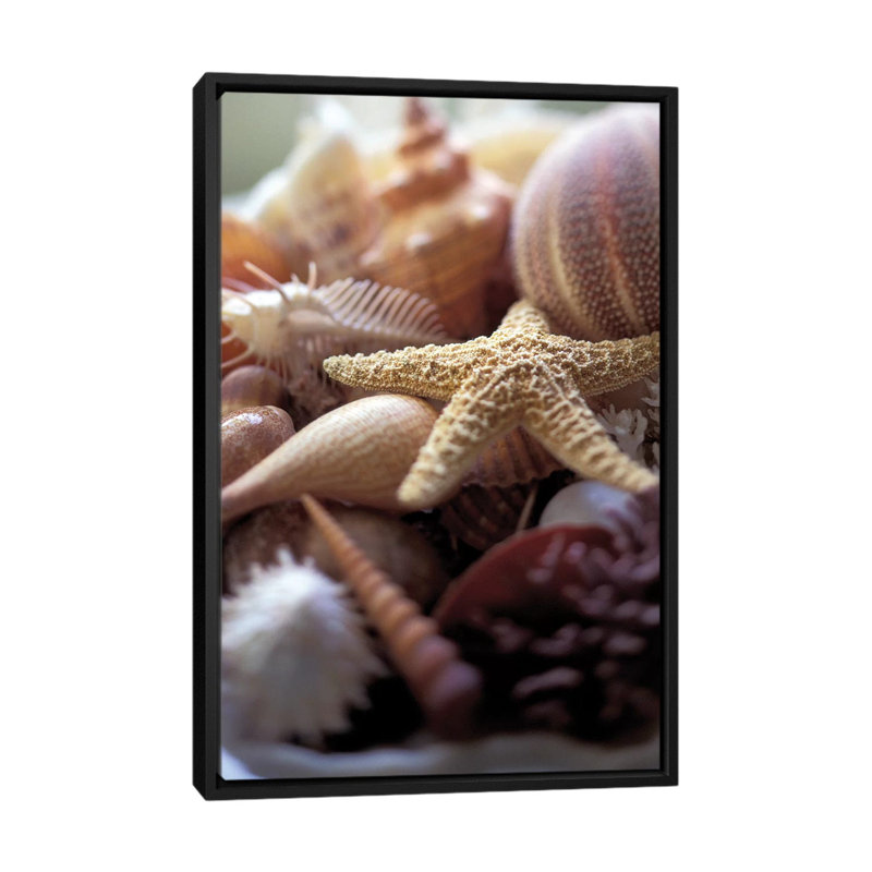 «Lone Starfish», reproduction de photo sur toile, H 26 po x l 18 po x P 1,5 po, Pas de tapis, Toile encadrée noire