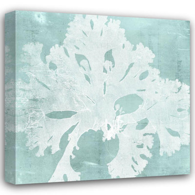 Dovecove Vision Studio Gallery Wrapped Canvas Art Titled: Seaweed on Aqua V