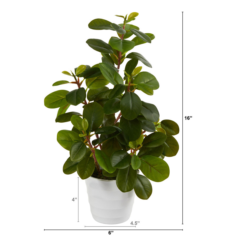 16'' Faux Peperomia Plant in Planter