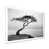 White Single Picture Framed selected
