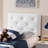 Erietta Upholstered Panel Headboard-2115875984