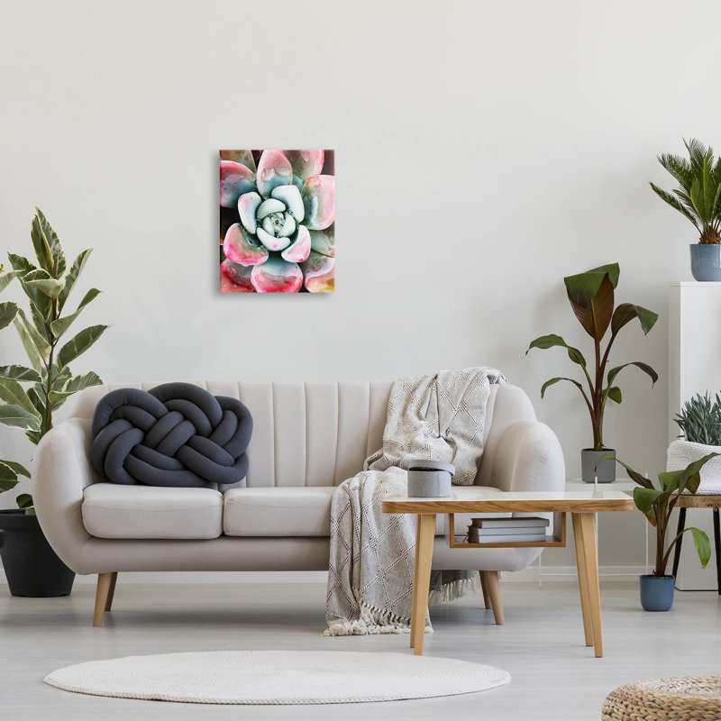 Plante grasse, gouttelette de pluie, estampe numérique par Irena Orlov, Giclée encadrée noir minuit