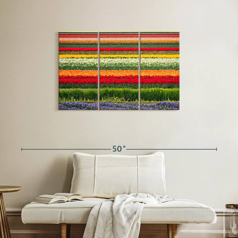 Rorry Bollenstreek Tulips, 24" H x 38" W