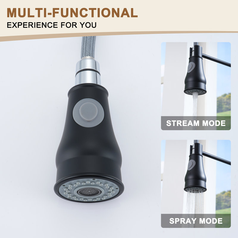 Matte Black Single-Handle Spring Pull-Down Kitchen Faucet
