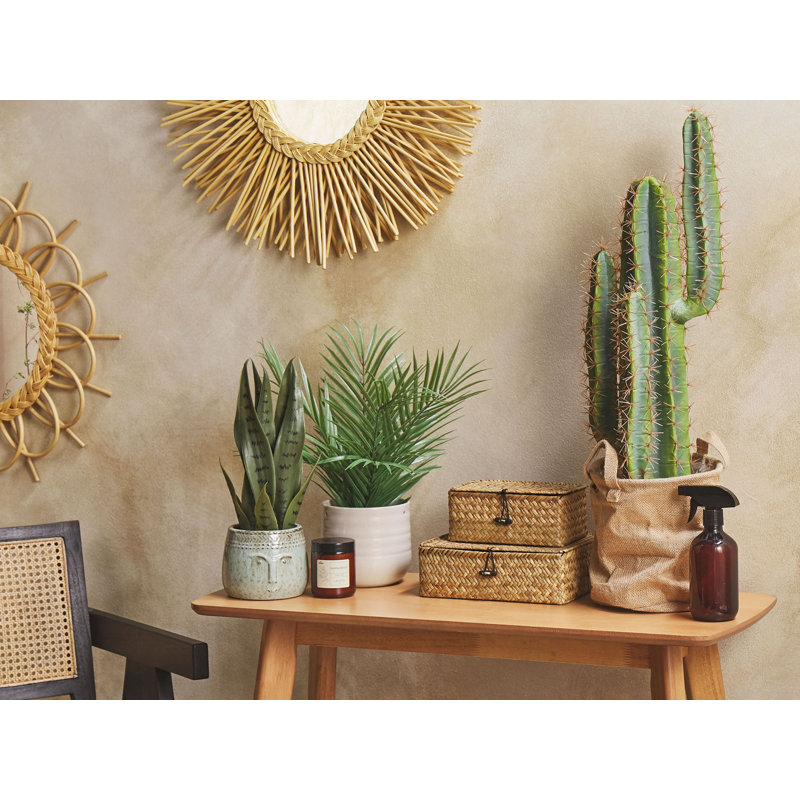 78cm Faux Cactus Plant in Pot