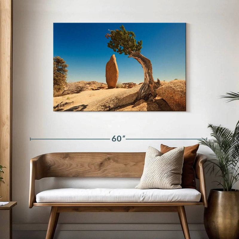 Genévrier et monolithe Nicci Joshua Tree Park, H 30 po x l 45 po