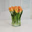 Tulip Floral Arrangement in Vase-1199878098