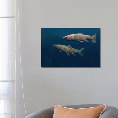Rainbow Trout Pair Swimming Underwater by Tim Fitzharris - Wrapped Canvas Print